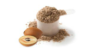 Sapodilla Flakes & Powder